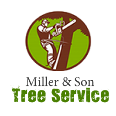 Miller Son Tree Service