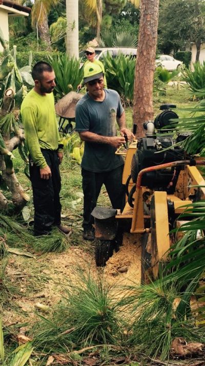 Removing A Large Stump In Boca Raton